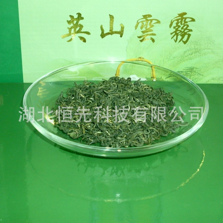 湖北大別山特產(chǎn) 英山毛尖 中國名茶 高山綠色生態(tài)茶葉 英山云霧茶