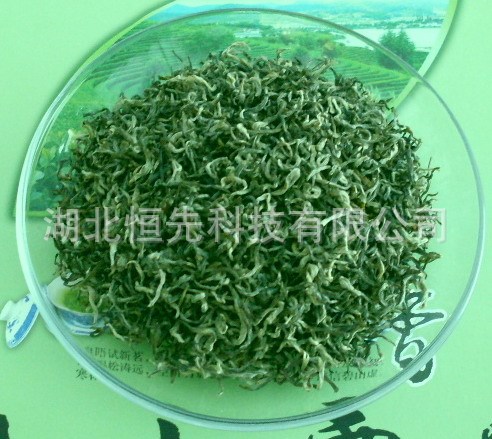 中国名茶 高山生态绿茶 湖北土特产 礼品 英山毛尖 大别山云雾茶