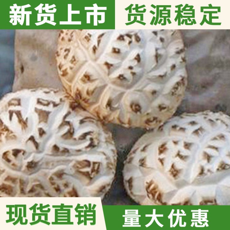 花菇干貨2018新貨泌陽(yáng)特產(chǎn)菇產(chǎn)地直銷河南農(nóng)產(chǎn)品菌類干貨散裝香菇