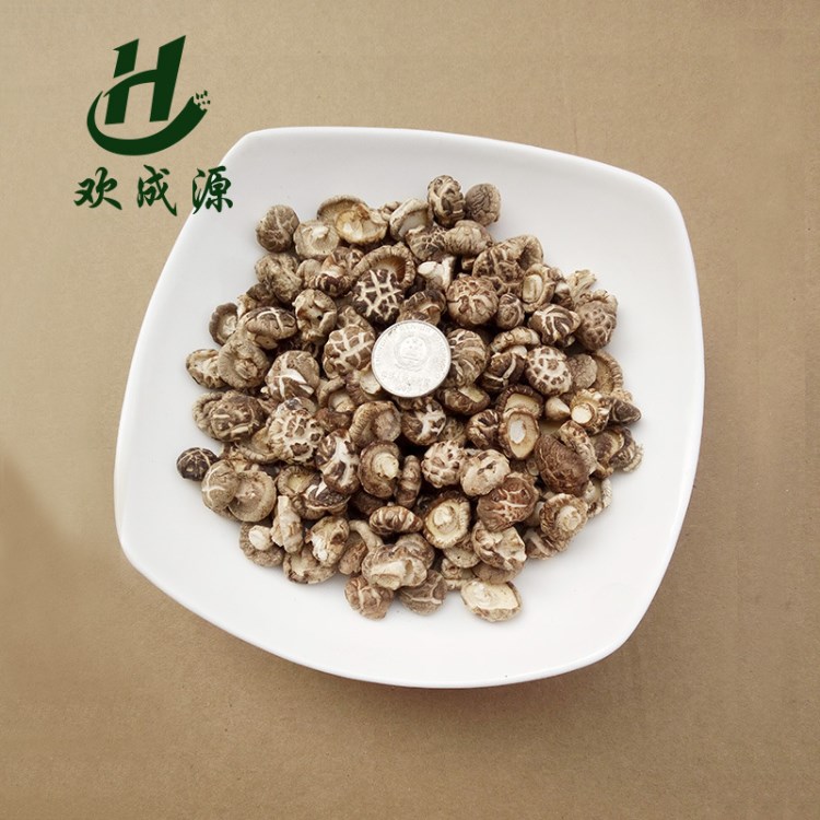 廠家直銷小花菇 肉厚鮮香新品干貨干香菇 食用散裝菌菇500g