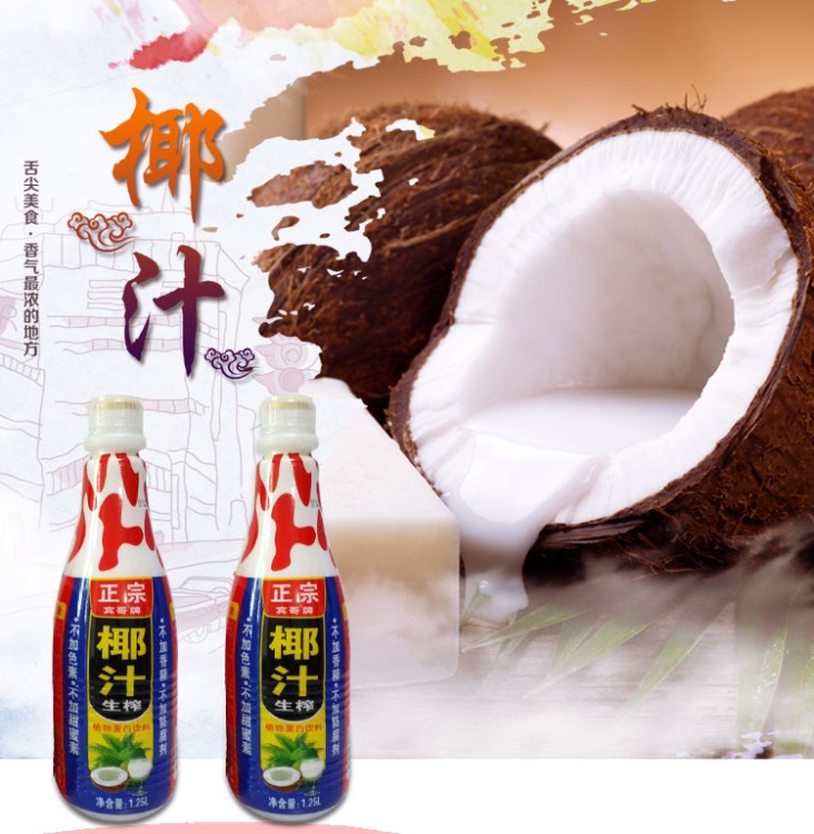 新产品 植物蛋白饮料椰子汁 瓶装1250ML 厂家招商 功能饮料　酸奶