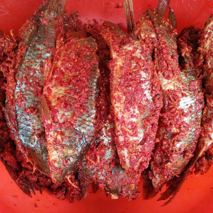 貴州特產(chǎn)腌魚黎平腌魚  特色辣椒侗家傳統(tǒng)腌魚供應(yīng)批發(fā)