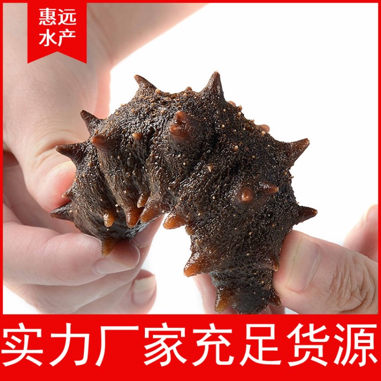 廠家直銷 野生即食海參大連海鮮長(zhǎng)?？h刺參大連特產(chǎn)遼參肉厚勁道