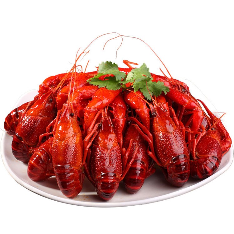 麻辣小龙虾熟食 麻辣十三香大龙虾 整只小龙虾 7-9钱 带汁4斤装