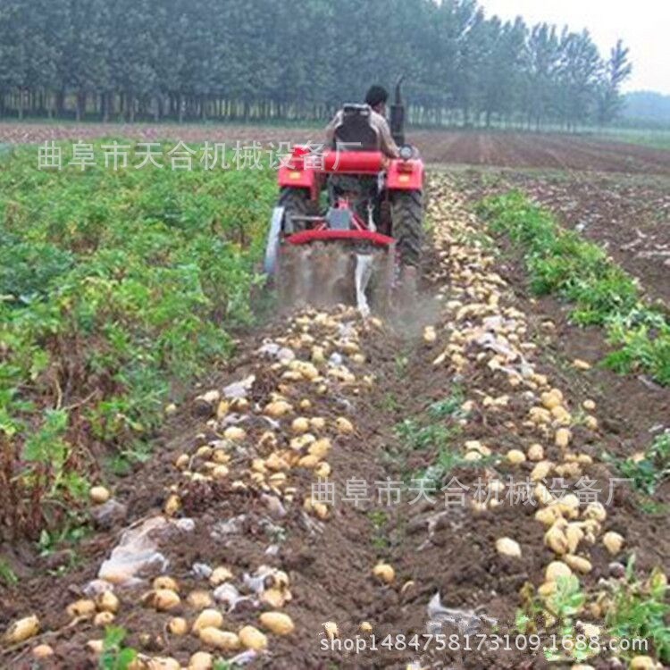 土豆收獲機(jī)率 四輪拖拉機(jī)帶動(dòng)花生地瓜挖掘機(jī) 廠家直銷(xiāo)