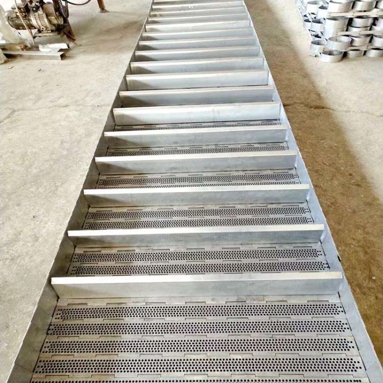 定制不銹鋼長孔輸送帶鏈板桂圓提升輸送機鏈條式板鏈廠家