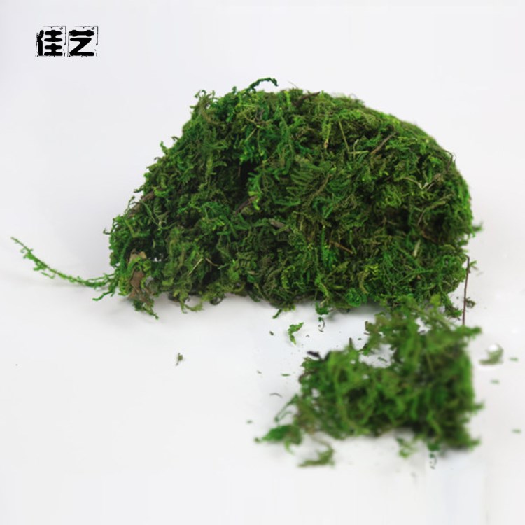 仿真苔藓绿植野外青苔遮盖盆土 仿生花植物装饰材料花卉配件干草