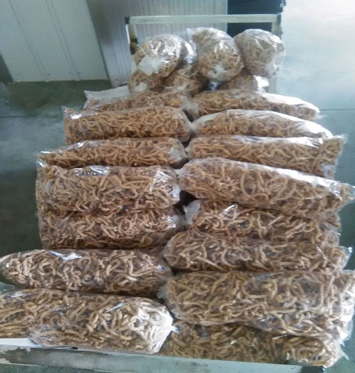 傳統(tǒng)糕點(diǎn)休閑食品芝麻條 零嘴生產(chǎn)廠家直銷 酥脆糕點(diǎn)