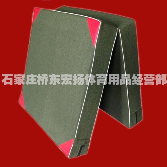 工廠直銷各種體操墊 海綿墊 瑜伽墊 摔跤 跳高 瑜伽墊 訂制
