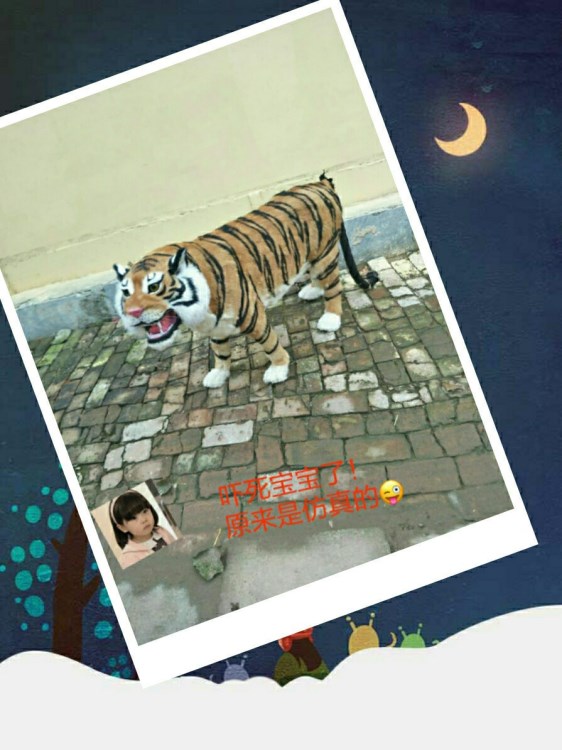 仿真皮毛大老虎廠家直銷各種仿真動物公園擺設影視道具照相道具