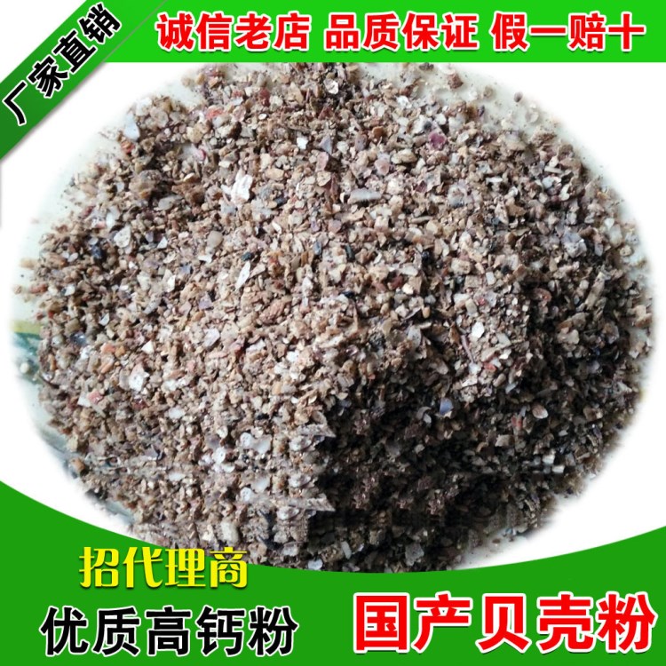 【廠家直銷】健康環(huán)保動物貝殼粉飼料 礦物質(zhì)微量元素