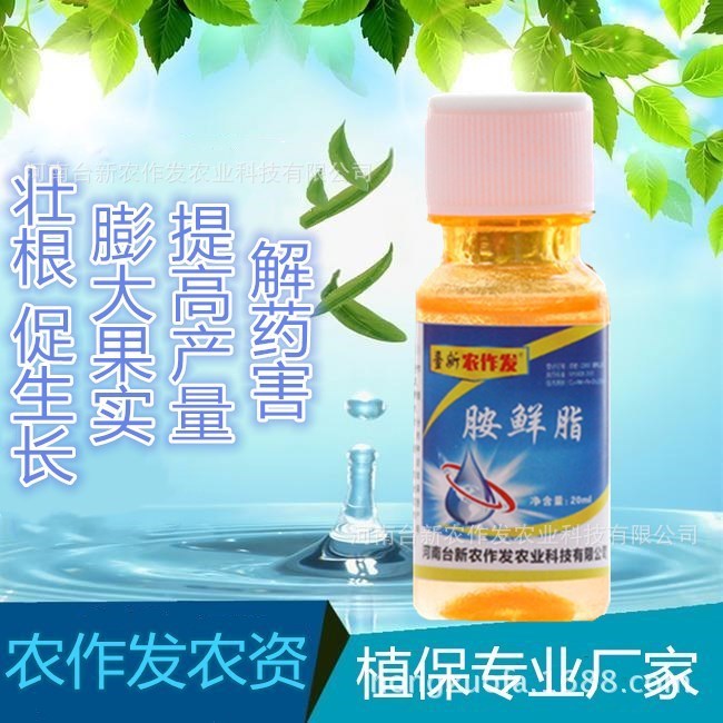 植物生長肥料廠家直供生長調節劑胺鮮酯原藥生長素增效劑