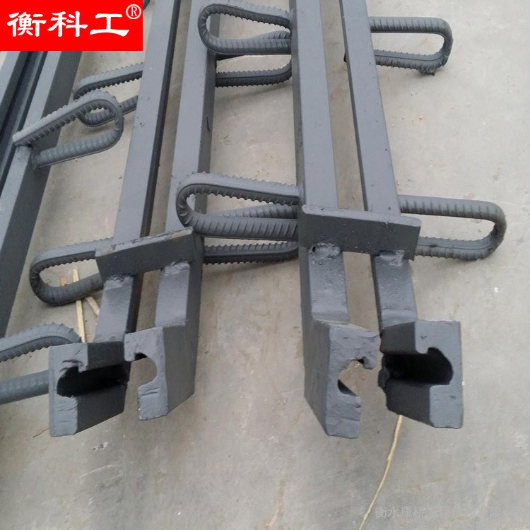 定制d80型變形縫公路橋梁d160型 模數式伸縮裝置F60型伸縮縫