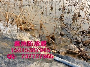 供应邢台藕池防渗土工膜张家口藕池防渗膜