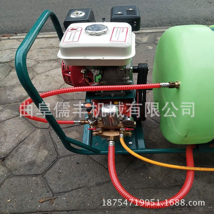 禽流感防疫物資消毒車手推式打藥機小型自走式汽油噴霧器