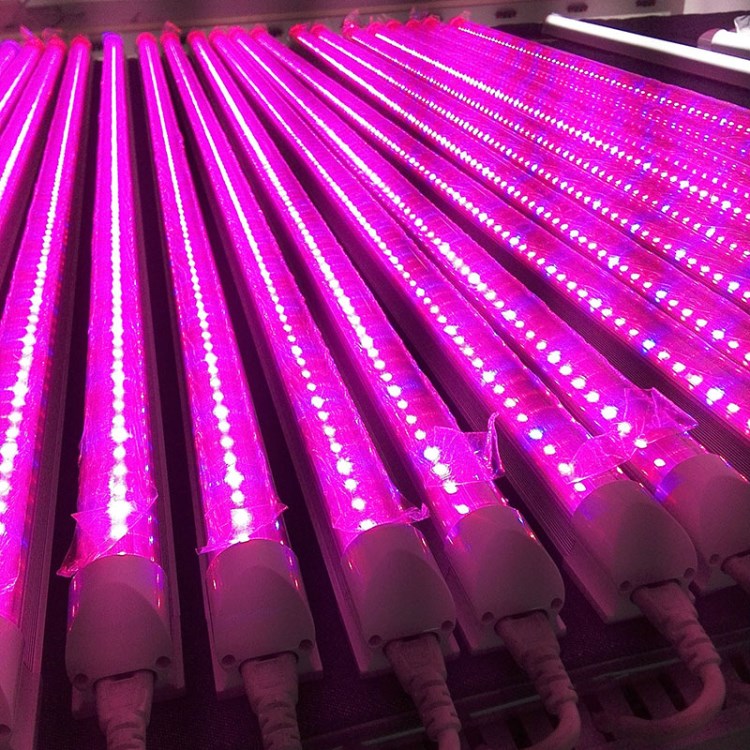 供應LY 綠熒牌T5T8 一體化植物生長燈LED植物照明補光燈具非防水