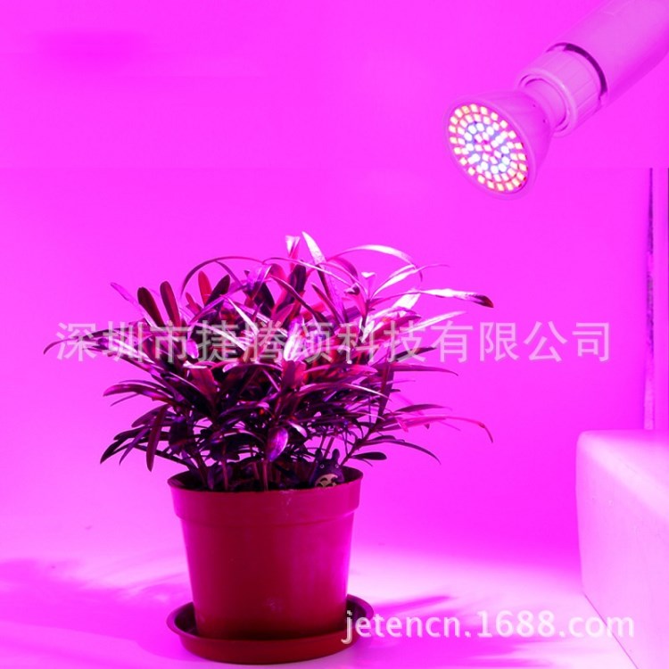 廠家直銷 全光譜LED植物生長燈E27 種植燈 多肉花卉蔬菜補光燈