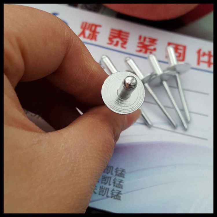 廠家直銷  大檐帽拉鉚釘 大帽拉鉚釘  大鋁帽抽芯鉚釘 規(guī)格