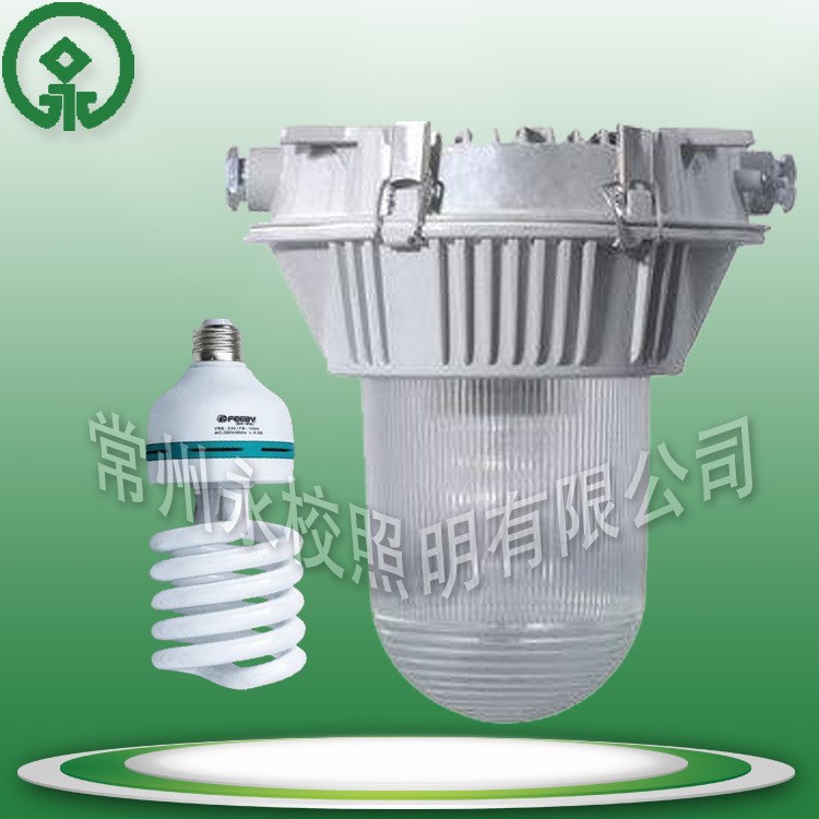 NFC9180-Y23節能燈23W36W節能防眩泛光燈化工企業過道防眩金鹵燈