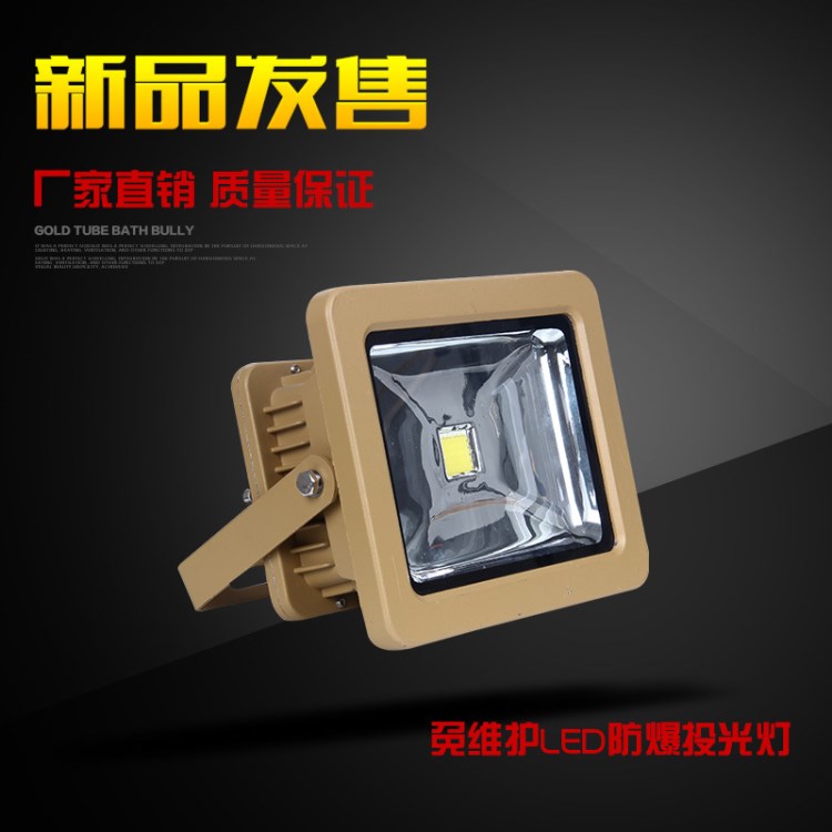 BLED 9103 固態(tài)免維護 LED 防爆燈 隔爆型 50W 三防燈 投光燈