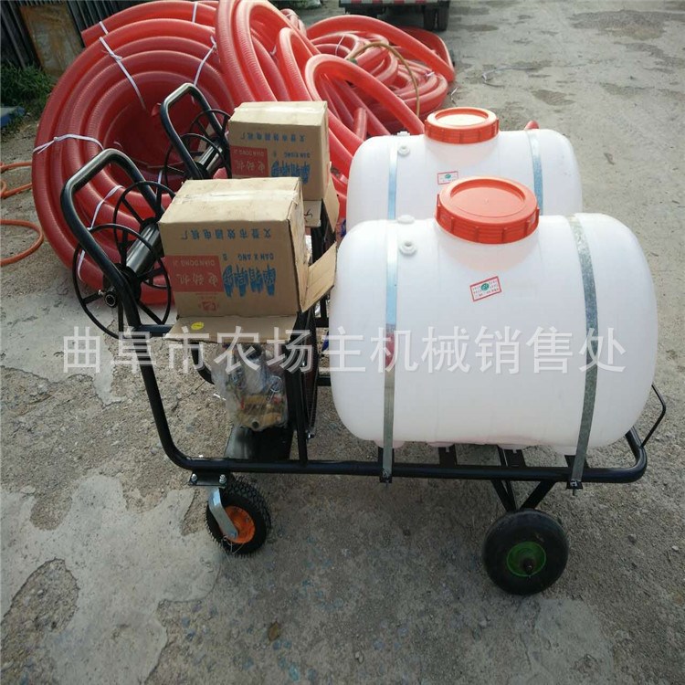 60L輕便式室內(nèi)消毒機(jī) 農(nóng)場噴灑機(jī) 路面手推打藥機(jī)