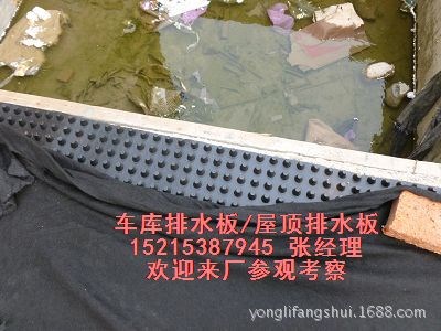 供應(yīng)塑料排水板日照綠化排水板土工布