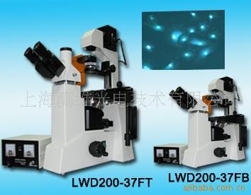 倒置熒光顯微鏡 LWD200-37FT/B   各類(lèi)研究所適用