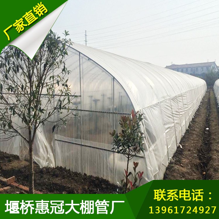 【蔬菜大棚】GP-622加固型蔬菜温室大棚 骨架批发葡萄大棚钢架