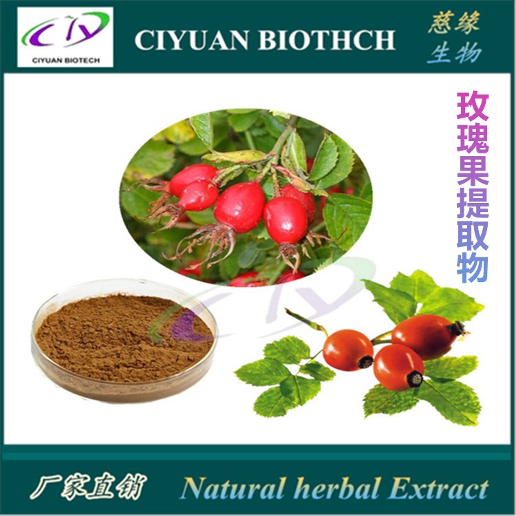 玫瑰果提取物10:1 Rose Hips Extract 玫瑰果多酚 品質(zhì)保障