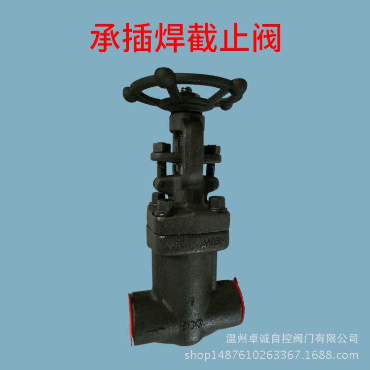 廠家直銷 鍛鋼承插焊截止閥 鑄鋼截止閥  焊接截止閥