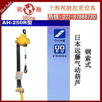 日本遠藤氣動葫蘆 AH-250R氣動葫蘆250kg 原裝氣動葫蘆endo牌