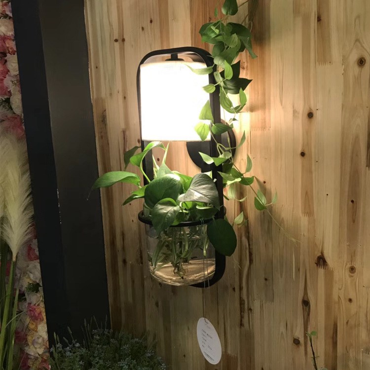 吧臺(tái)植物壁燈鐵藝術(shù)個(gè)性創(chuàng)意花盆玻璃罩過(guò)道餐廳陽(yáng)臺(tái)空中花園壁燈