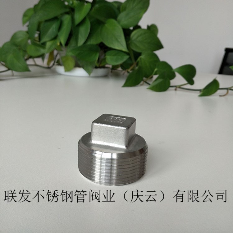 304316不銹鋼鑄造四角塞頭堵頭管件閥門square plug