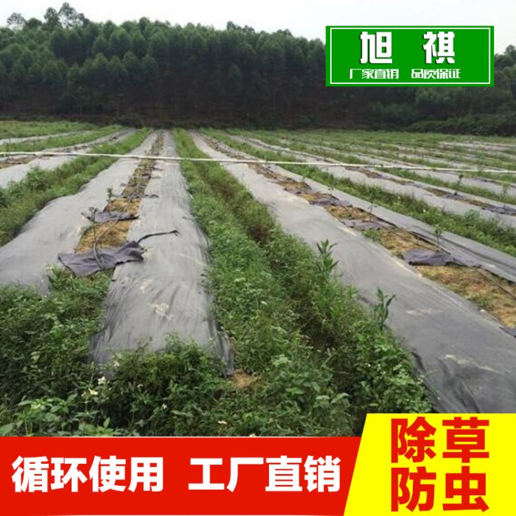 厂家直销除草布 黑色防草地布 农用大棚抑草席 抗氧化渗水