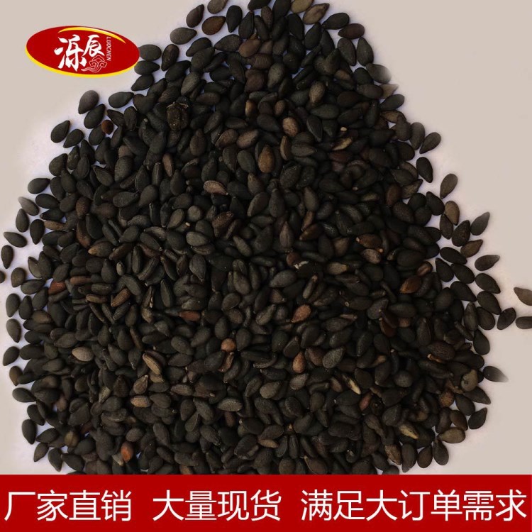 廠家直銷  黑芝麻批發(fā) 現(xiàn)磨豆?jié){ 五谷雜糧 廠家直銷精選黑芝麻