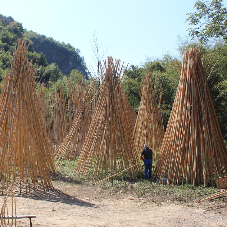 戶外防腐干竹子籬笆墻竹柵欄圍欄菜園搭架裝飾隔斷毛竹竹竿批發(fā)