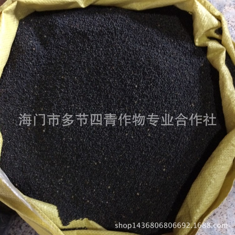 供應油菜籽  除雜質 過風篩