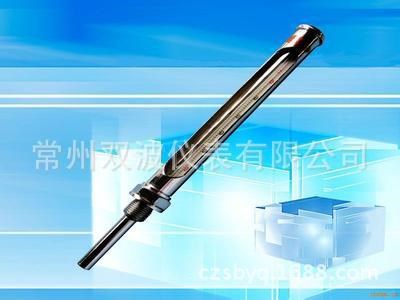 WNG-11金屬保護(hù)套溫度計(jì)/金屬保護(hù)套玻璃溫度計(jì)/金屬套玻璃溫度計(jì)