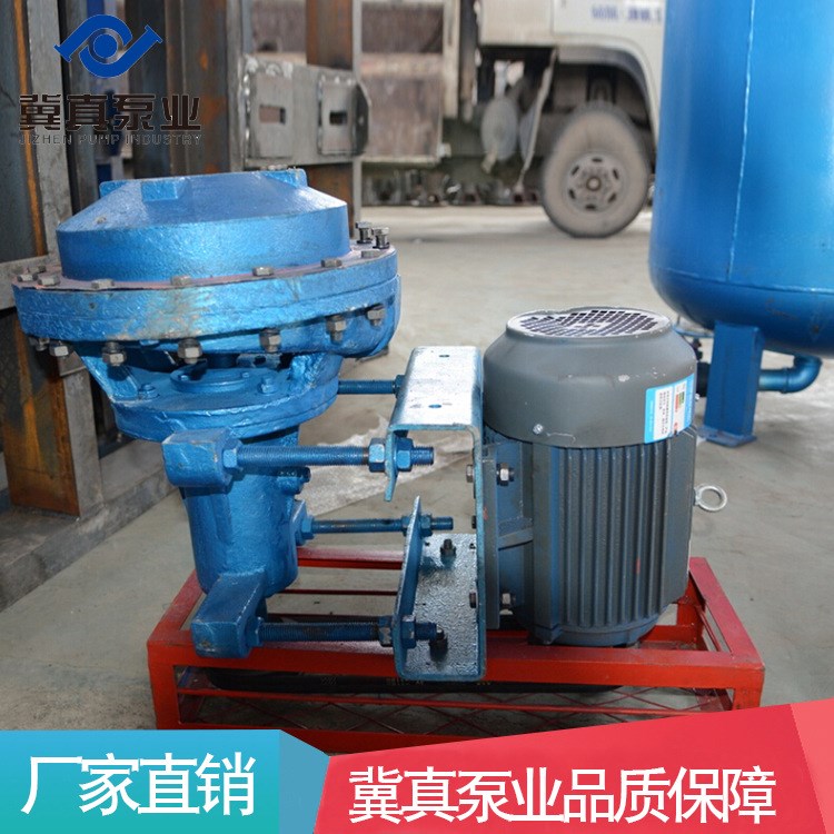 河北冀真泵業(yè)廠家直銷濾液泵 FPB濾液泵 造紙行業(yè)脫水泵批發(fā)