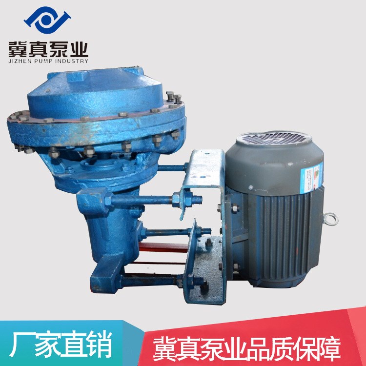 河北冀真泵業(yè)廠家供應(yīng)FPB125-50濾液泵 臥式單吸式清水泵批發(fā)