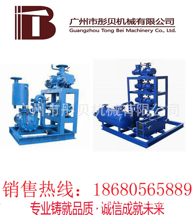 真空泵機組廠家  JZJS型羅茨水環(huán)真空泵機組 JZJ2S30-1