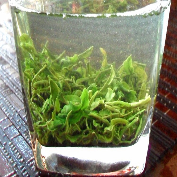 批發(fā) 日照綠茶春茶 茶葉 茶農(nóng)直銷(xiāo) 龍山青 廠家直銷(xiāo) 散裝包郵