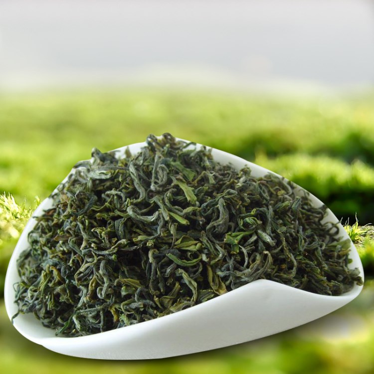 大促清倉年末2017新茶日照綠茶雪青  云霧嶗山綠茶 豆香散裝