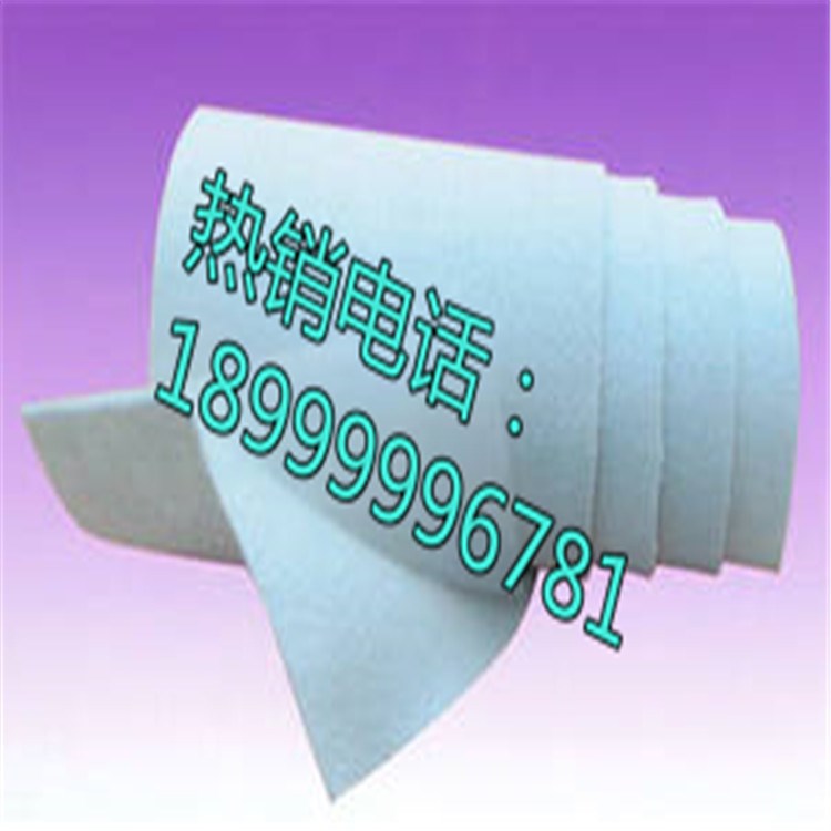 【河北 新疆】廠家供應(yīng)復(fù)合土工膜 復(fù)合膜 300g兩布一膜