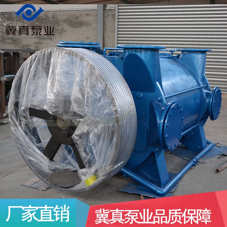 2BEA202 水環(huán)真空泵 2BE系列真空泵 真空泵及壓縮機(jī) 真空泵配件