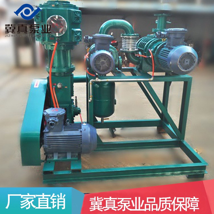羅茨水環(huán)真空機(jī)組 JZJ2B300-1系列不怕油污染不怕水汽及微塵批發(fā)