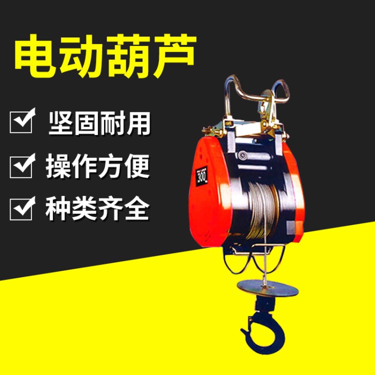 小金剛電動卷揚機 微型懸掛式電動葫蘆 快速兩相電動葫蘆220V