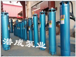 天津大功率潛水電機(jī) 大井徑潛水電機(jī) 節(jié)能高轉(zhuǎn)數(shù)潛水電機(jī)