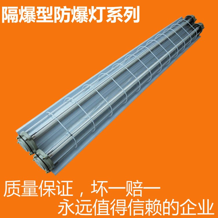 防爆雙管熒光燈 照明防爆雙管熒光燈 礦用防爆照明雙管熒光燈