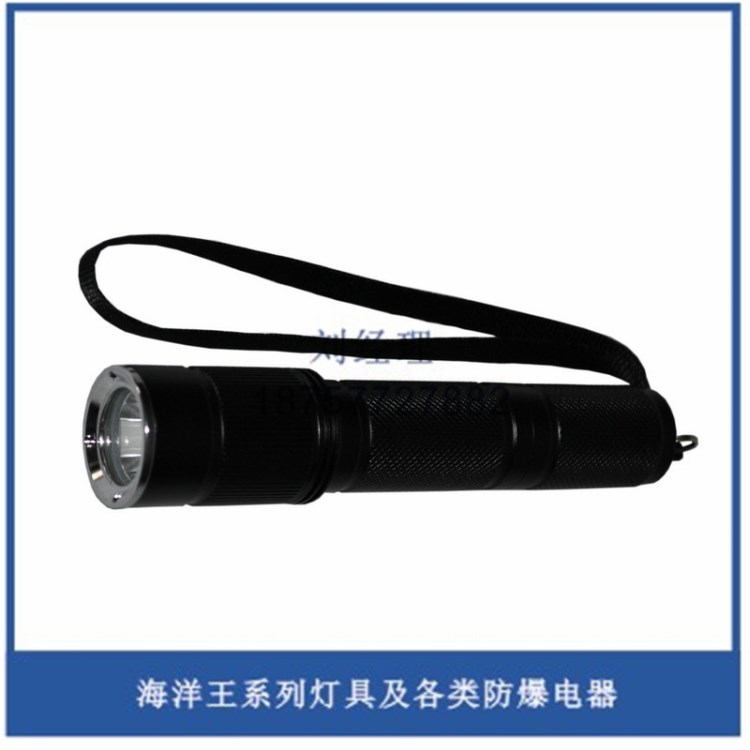 海洋JW7620固態(tài)微型強(qiáng)光防爆電筒 防爆手電 強(qiáng)光手電 LED手電